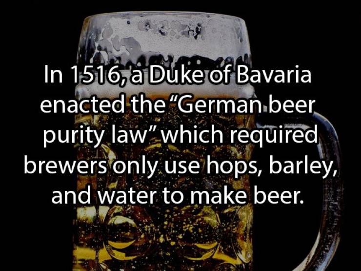 Let’s Brew Up Some Beer Facts