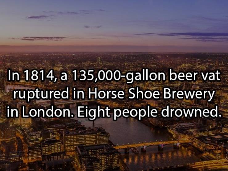 Let’s Brew Up Some Beer Facts