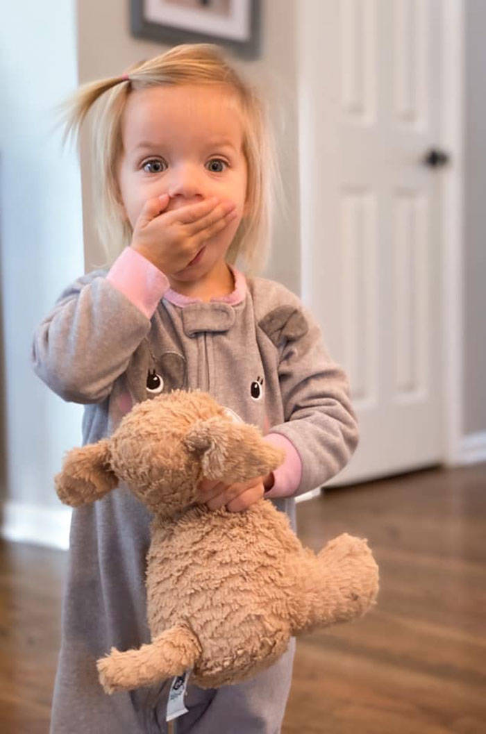 Toddler Girl Leaves Her Favorite Pet At The Hotel, Staff Takes It On An Adventure Before Sending It Back