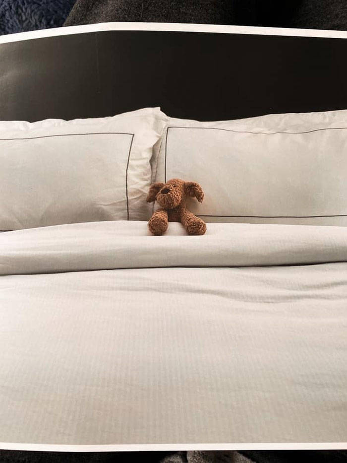 Toddler Girl Leaves Her Favorite Pet At The Hotel, Staff Takes It On An Adventure Before Sending It Back