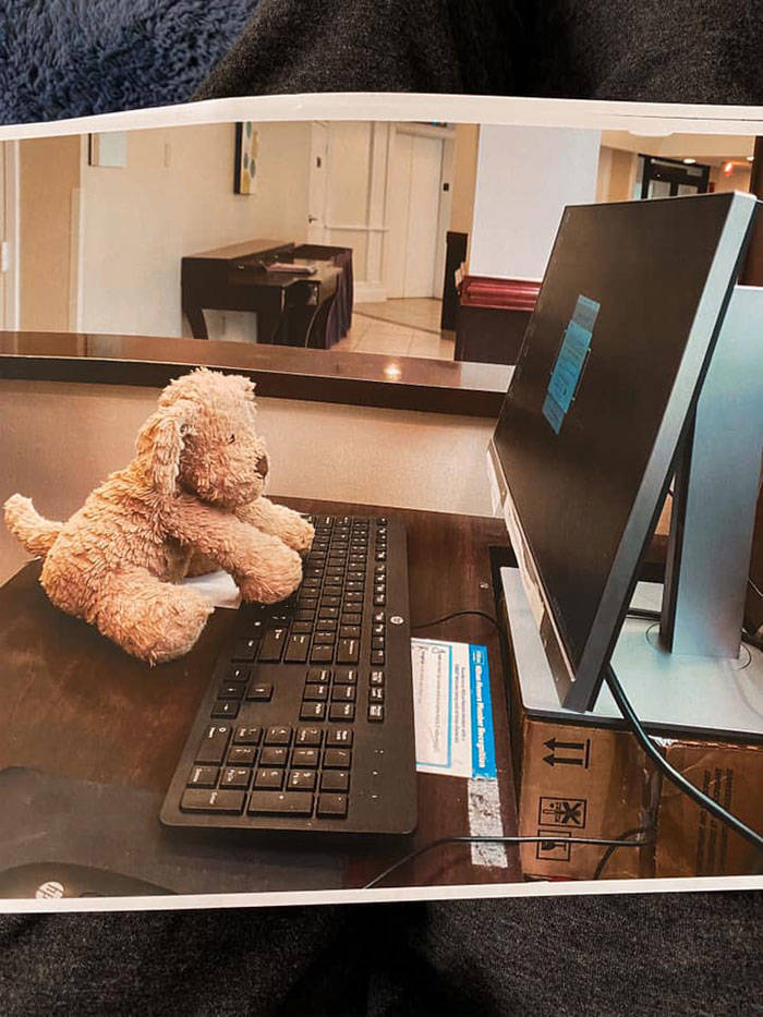Toddler Girl Leaves Her Favorite Pet At The Hotel, Staff Takes It On An Adventure Before Sending It Back