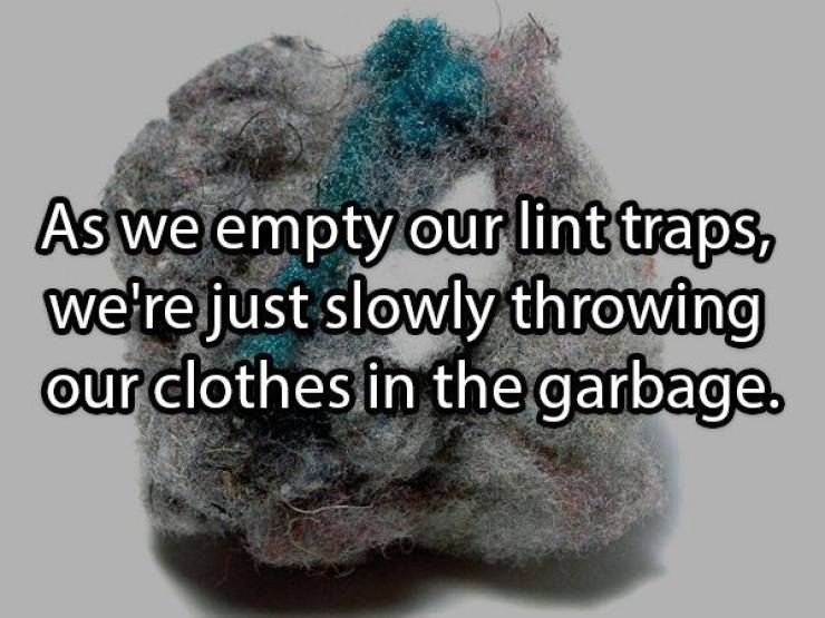 Shower Thoughts Are Wiser Than We Are