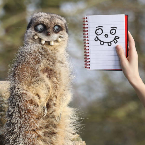 Dad Turns His Son’s Doodles Into Real Life “Beauties”