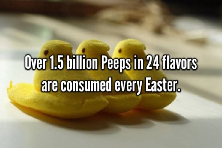 Go On An Egg Hunt With These Easter Facts