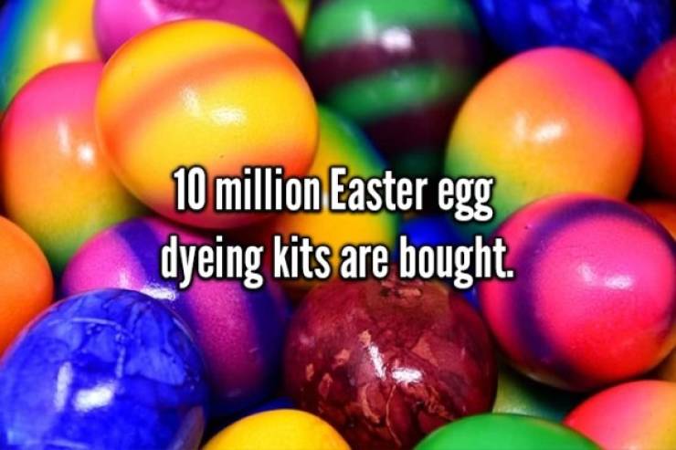 Go On An Egg Hunt With These Easter Facts