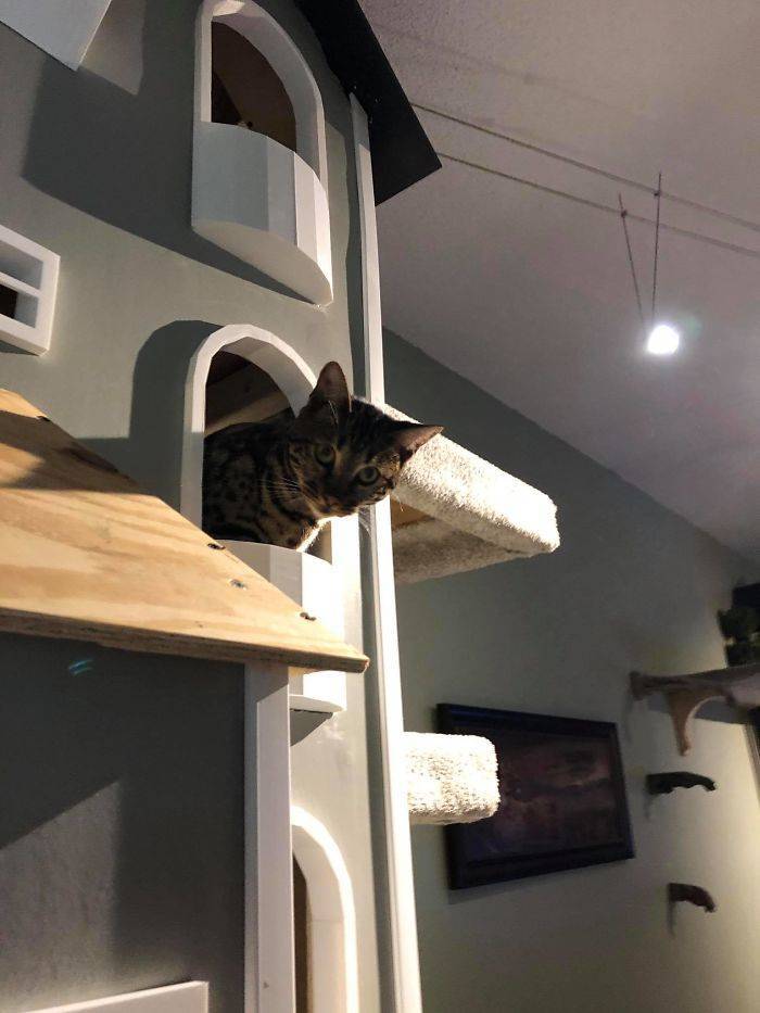 Man Builds Beautiful Cat Towers, And Now Everybody On The Internet Wants Them