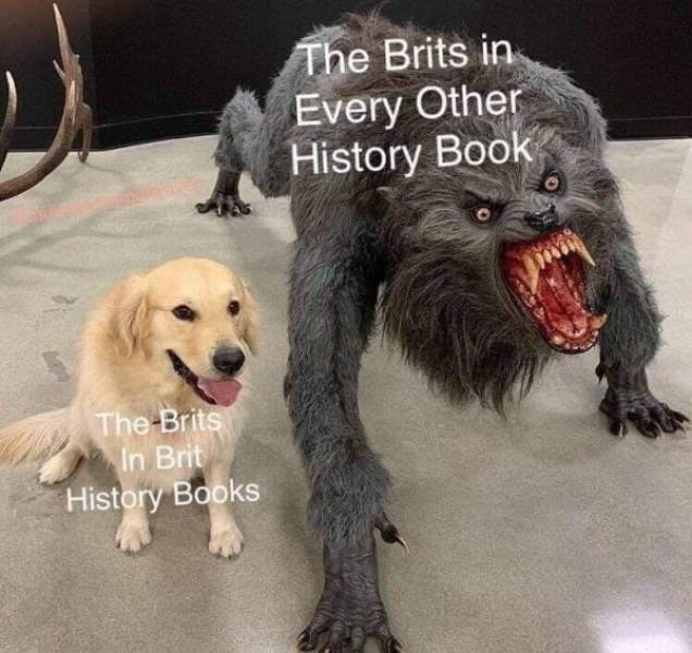 Memes Are Your History Teachers