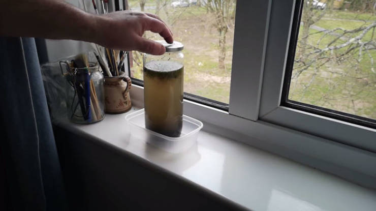 Guy Takes A Jar Full Of Pond Water And Watches How A Whole Ecosystem Evolves On His Window Sill