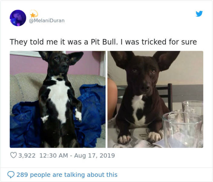 It Was Not The Breed They Expected!