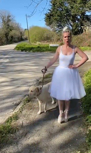 Her Dog Is Now Embarrassed To Go For A Walk With Her