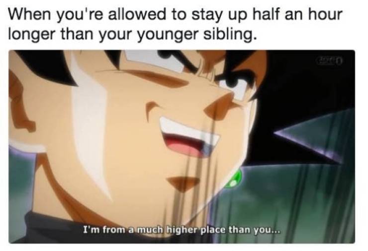 younger sibling memes
