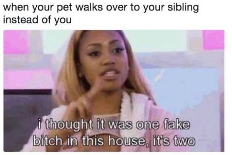 These Sibling Memes Are SO Annoying!