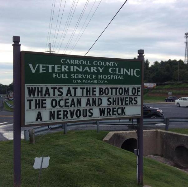 Vet Clinic Hits You With Best Dad Jokes