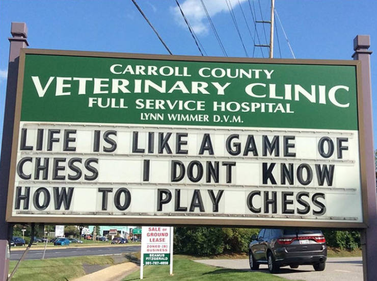 Vet Clinic Hits You With Best Dad Jokes