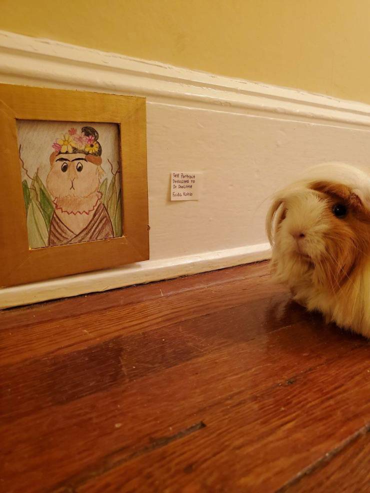 This Guinea Pig Has Its Own Fine Art Museum!