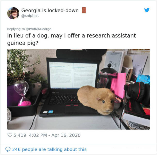 Pets Are Pretty Good At Doing Class Work!