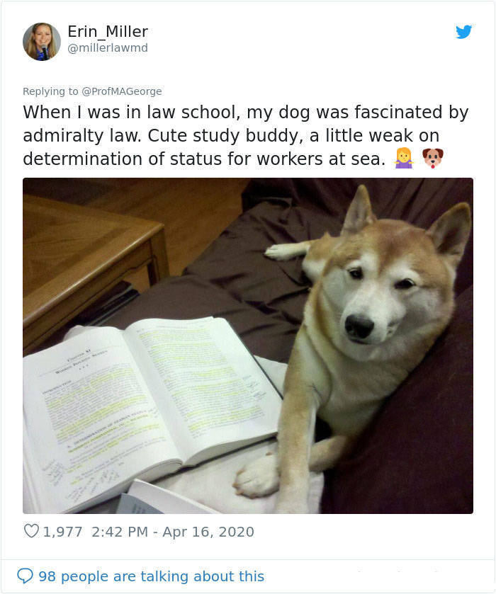 Pets Are Pretty Good At Doing Class Work!