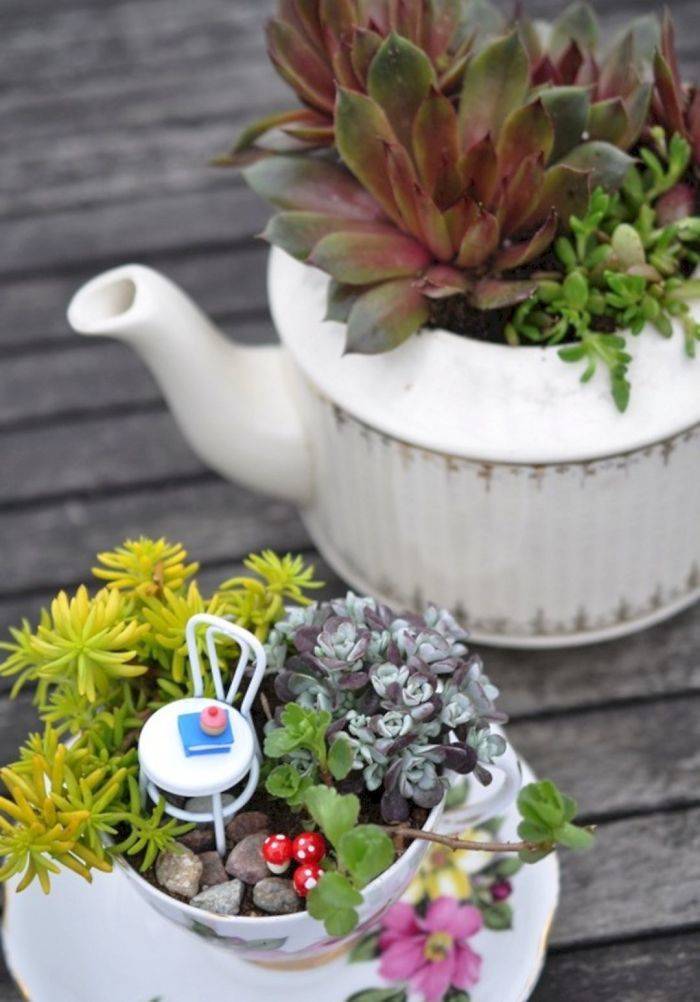 Quarantine Is The Perfect Time For Teacup Gardens!