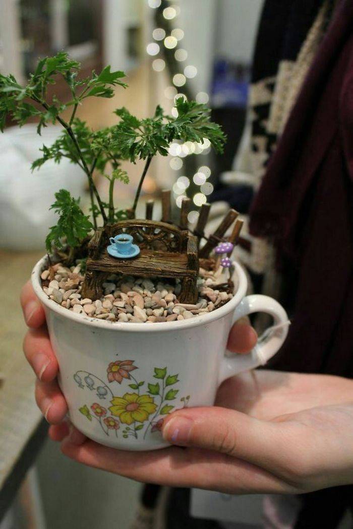 Quarantine Is The Perfect Time For Teacup Gardens!