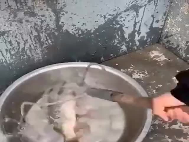 Extreme Cooking