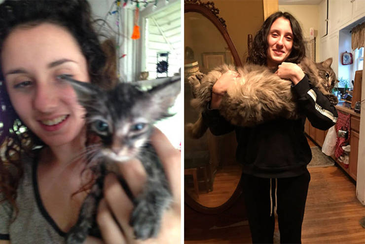 Cats Before And After Adoption