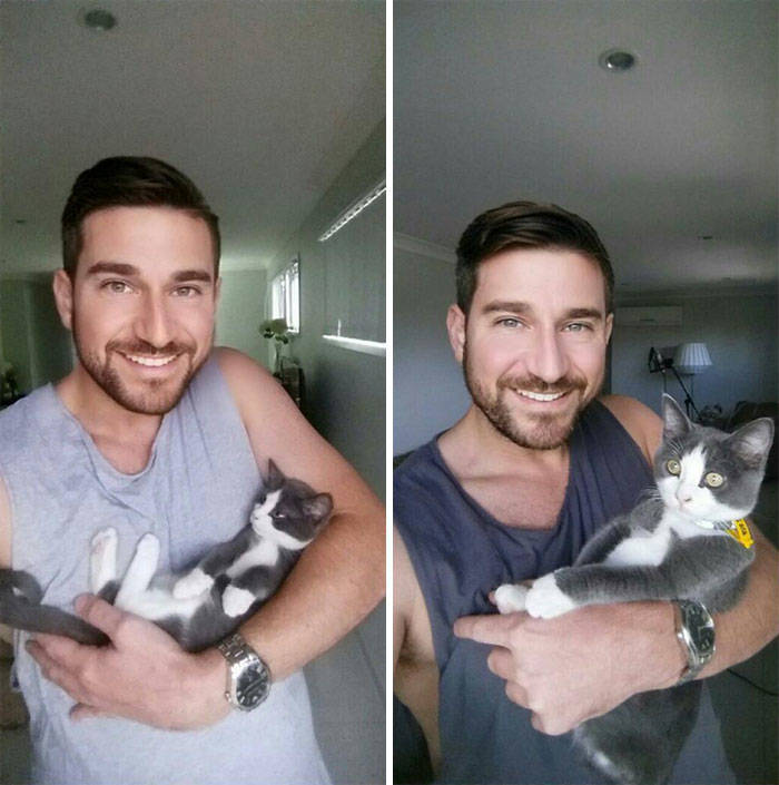 Cats Before And After Adoption