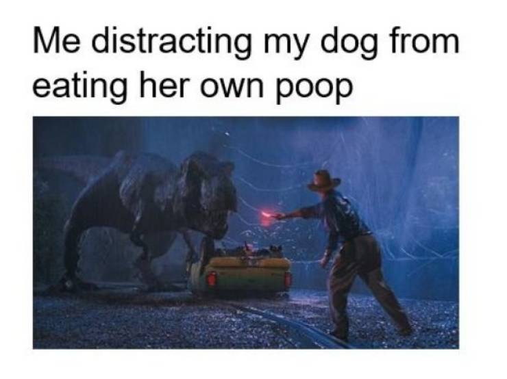 These Dog Memes Are Ruff