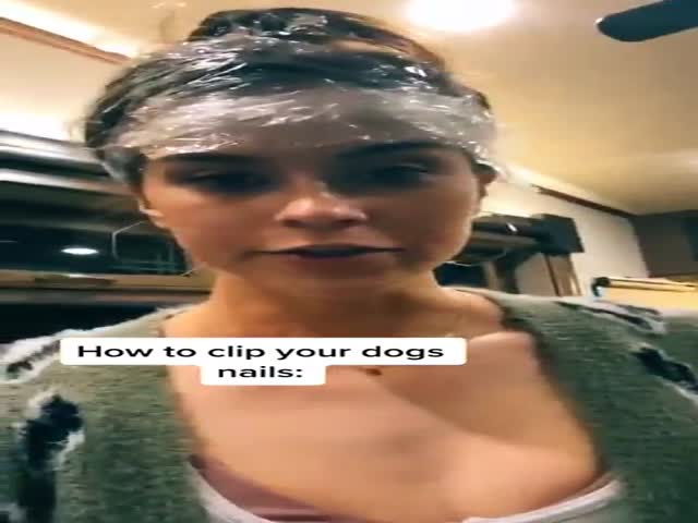 How To Clip Your Dog’s Nails…