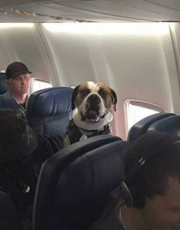 These Plane Neighbors Are Kinda Unexpected…