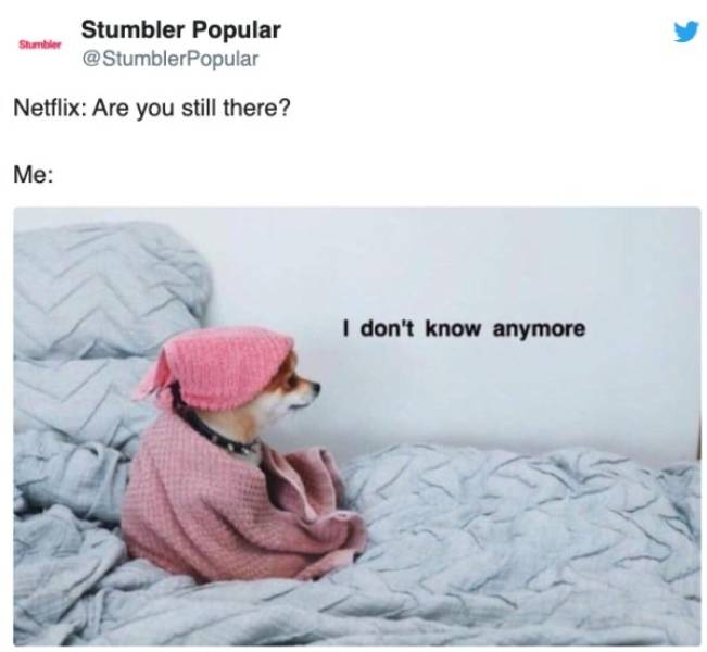 Netflix Memes You Can Watch In One Sitting