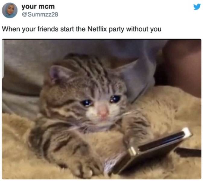 Netflix Memes You Can Watch In One Sitting