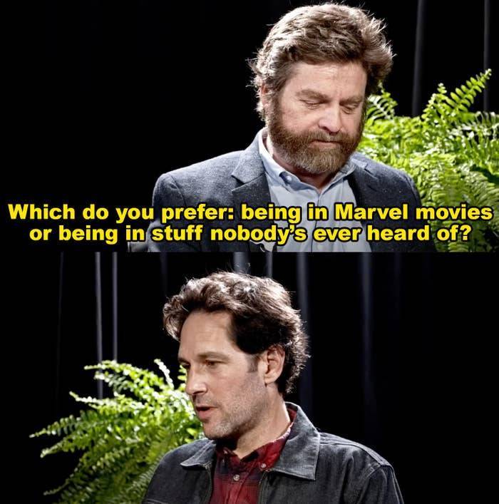 The Hottest Celebrity Burns From “Between Two Ferns”