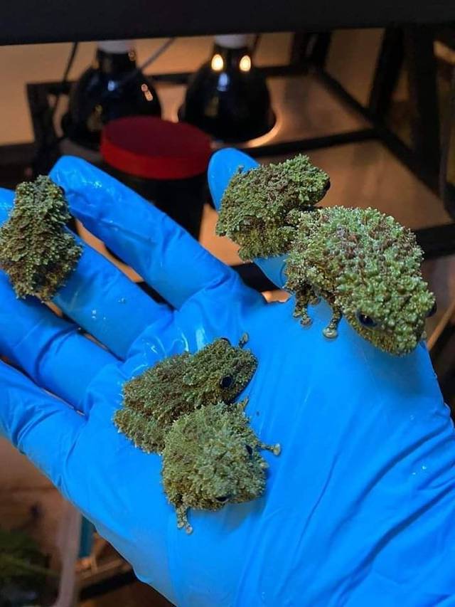 Nature Is Insane!