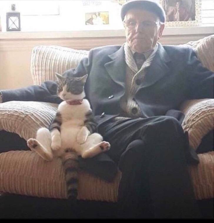 Pets Don’t Understand This “Manners” Word…