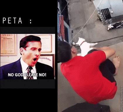 Daily Gifdump