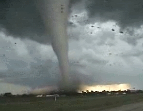 Nature Is Insane!