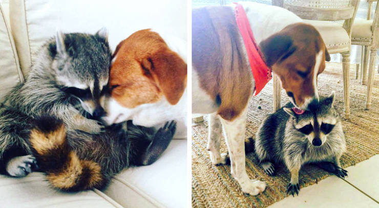 Adorable Photos Of Growing Up Together
