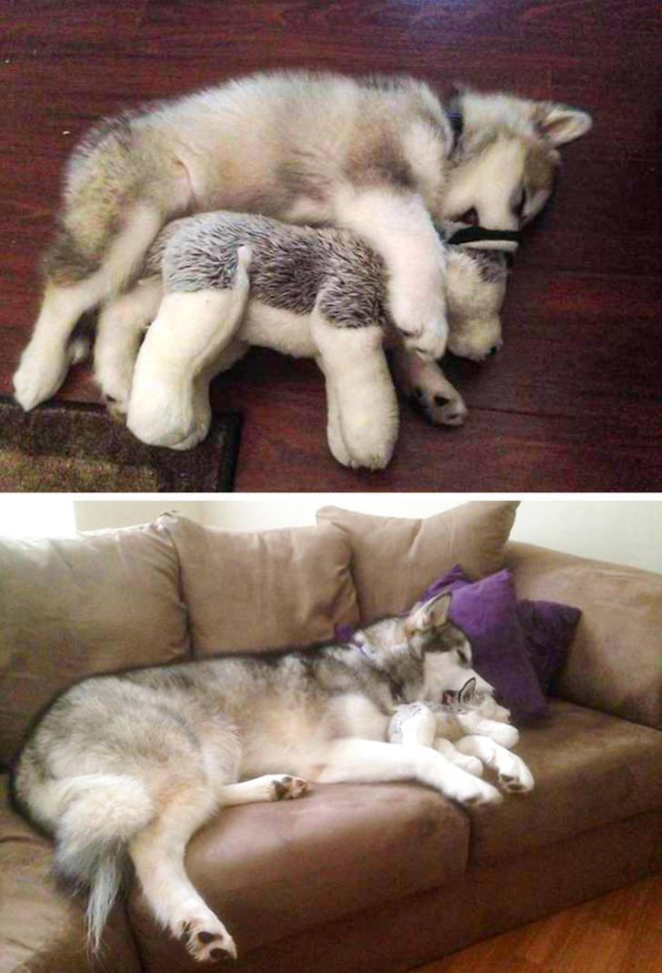 Adorable Photos Of Growing Up Together