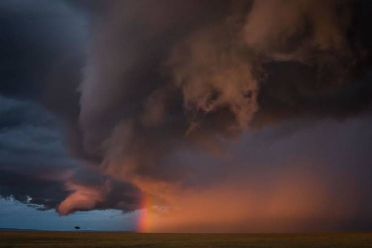 Check Out The Winners Of “GDP Nature Photographer Of The Year 2020”