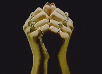 These GIFs Are Not Safe For Your Sanity!