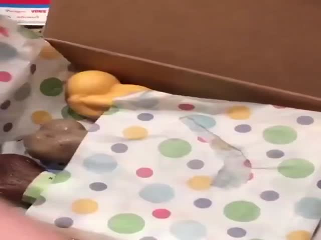 Package For A Good Boy