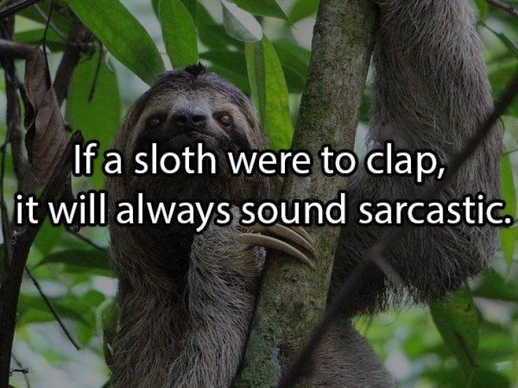 Shower Thoughts Are All Wrong…