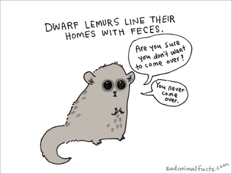 Sad Animals With Sad Facts About Themselves