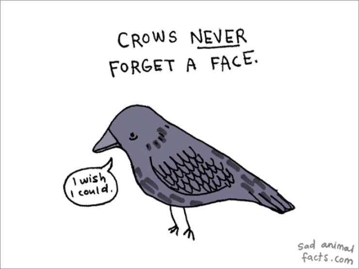 Sad Animals With Sad Facts About Themselves