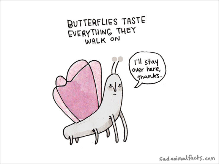 Sad Animals With Sad Facts About Themselves