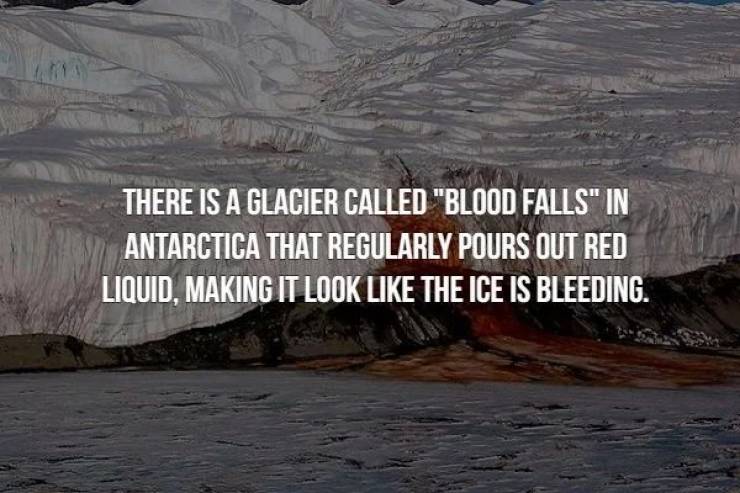 You Won’t Be Able To Chill With These Creepy Facts