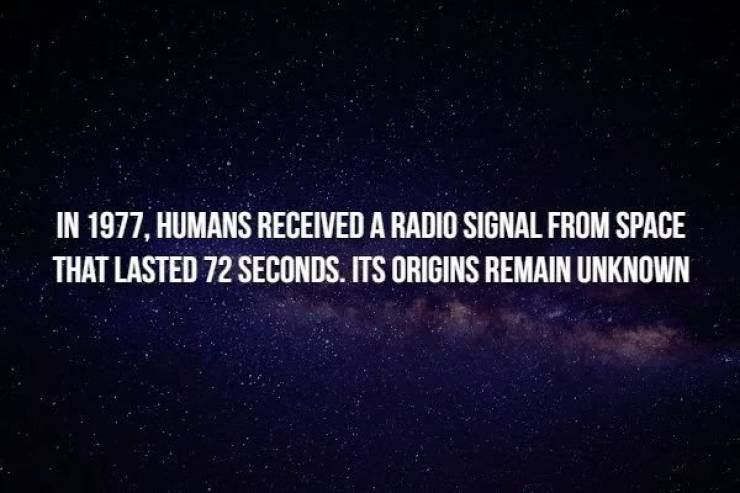 You Won’t Be Able To Chill With These Creepy Facts