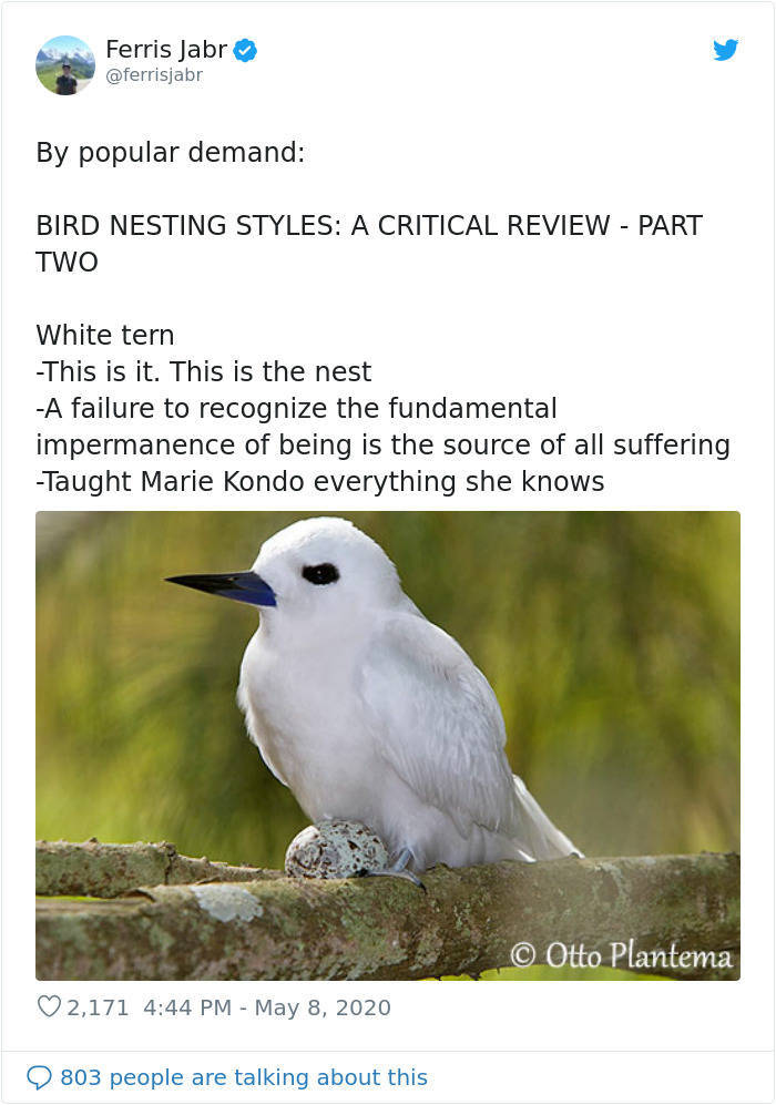 Get To Know About Different Bird Nesting Styles From This Science Writer!