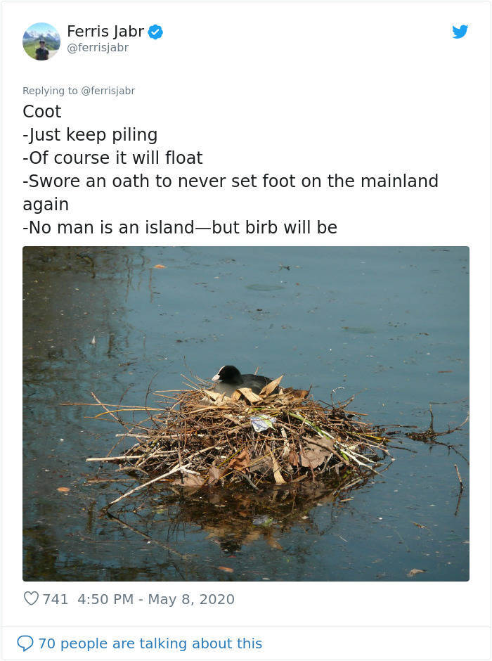 Get To Know About Different Bird Nesting Styles From This Science Writer!
