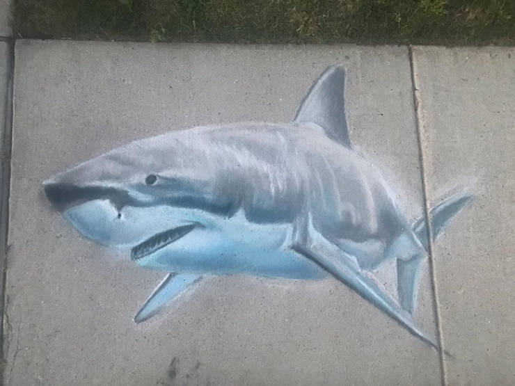 Mother And Daughter Create 3D Chalk Art That Will Trick Your Eyes!